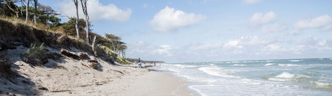 Ferienobjekte auf dem Darß: Kranichsruh und Wittsande